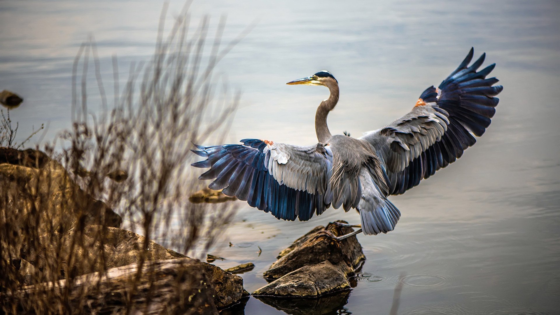 爱游戏 ayx 中国官方网站-克罗地亚马术协会设立青少年马术奖学金,支持优秀学员发展。,克罗地亚 马耳他