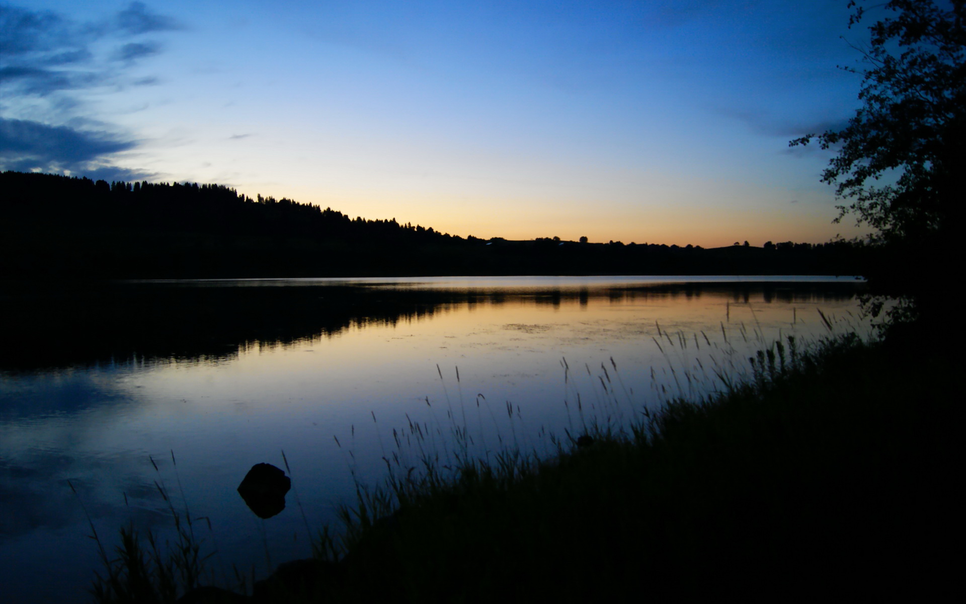 爱游戏智能体验-全场最高“抢断王”:斯托亚科维奇在季后赛中多次完成抢断反击!
