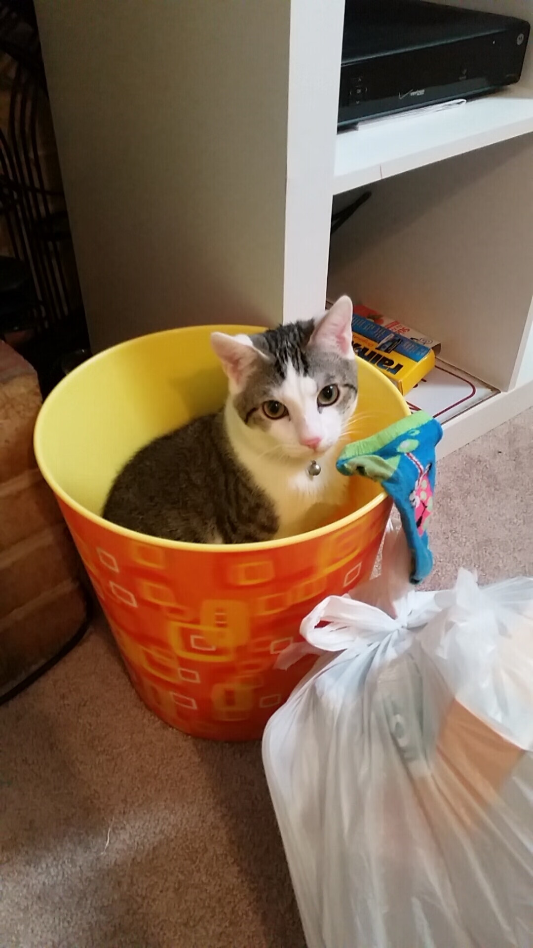 AYX SPORTS-【哈珀的全垒打秀】费城明星在季中赛场主宰比赛,哈珀斯费里级