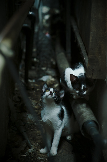 爱游戏中国电竞-【最全规则】犯规、罚分、申诉——台球比赛规则指南,台球比赛规则简版