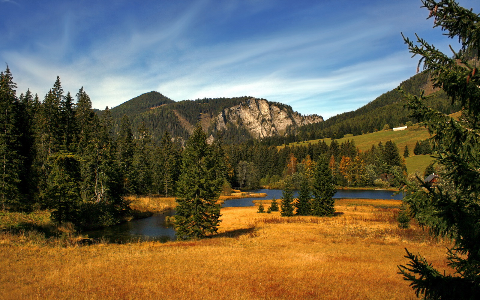 爱游戏体育官方入口-全国马拉松团队接力赛,合作赢得荣耀,2020马拉松接力赛