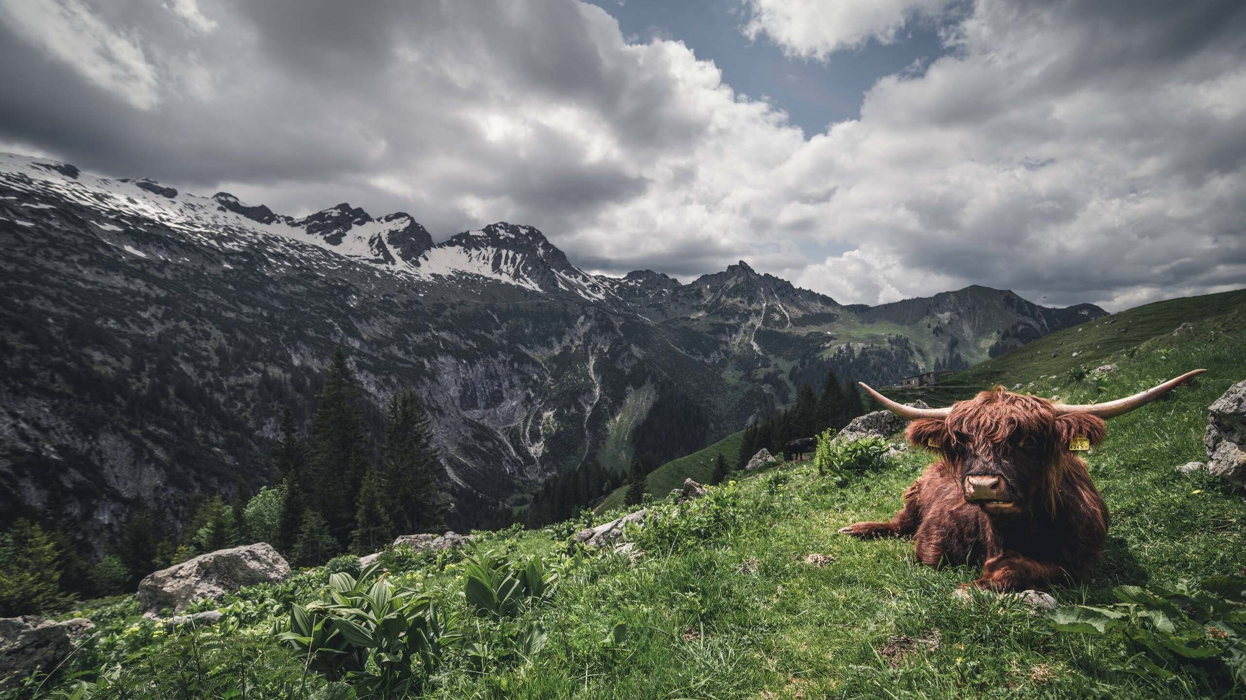 爱游戏中国-复出首战:明星球员带队冲击胜利!,nba复出球员