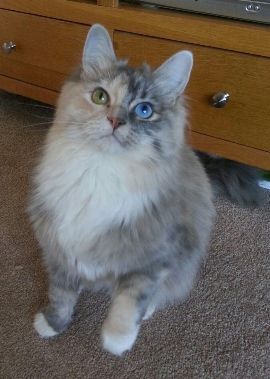 爱游戏电竞官方网站-季风体验:在多变风向中考验运动员适应能力