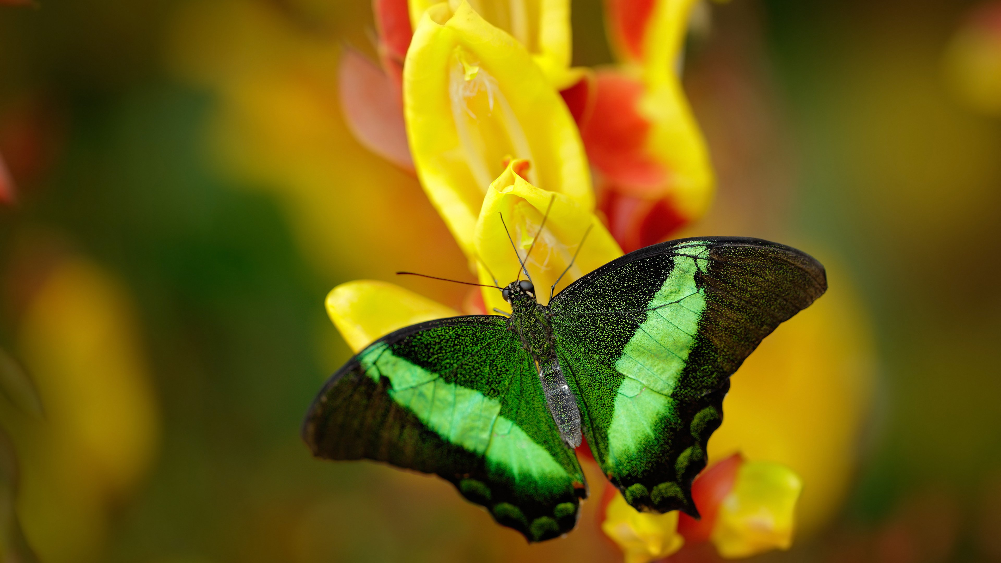 爱游戏电竞官方网站-季风体验:在多变风向中考验运动员适应能力