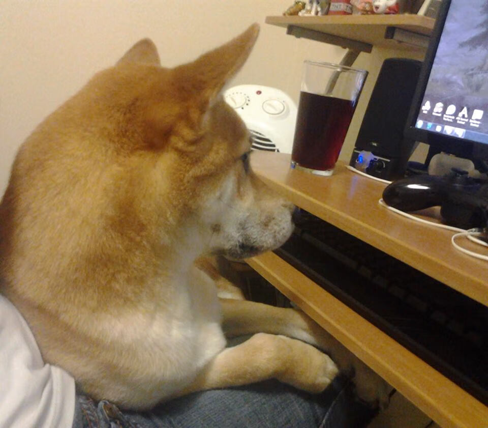 爱游戏ayx-巴西举办篮球青少年培训营，巴西篮协